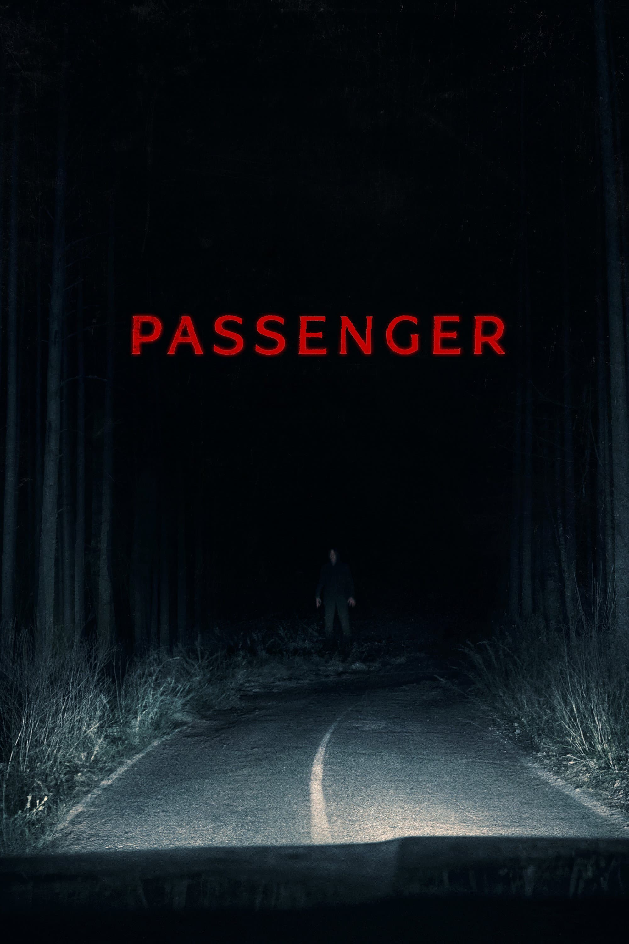 Passenger Poster