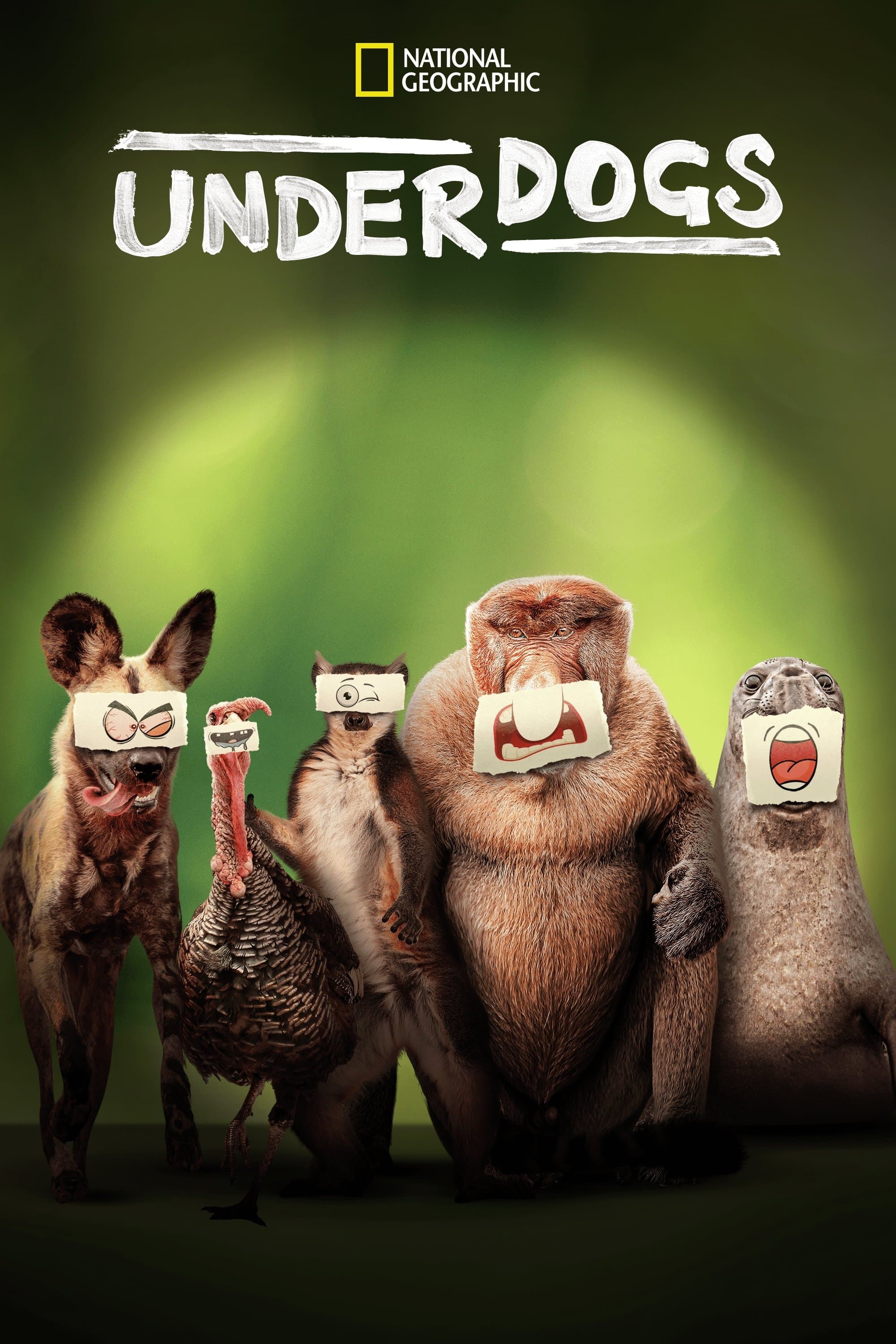 undefined Poster