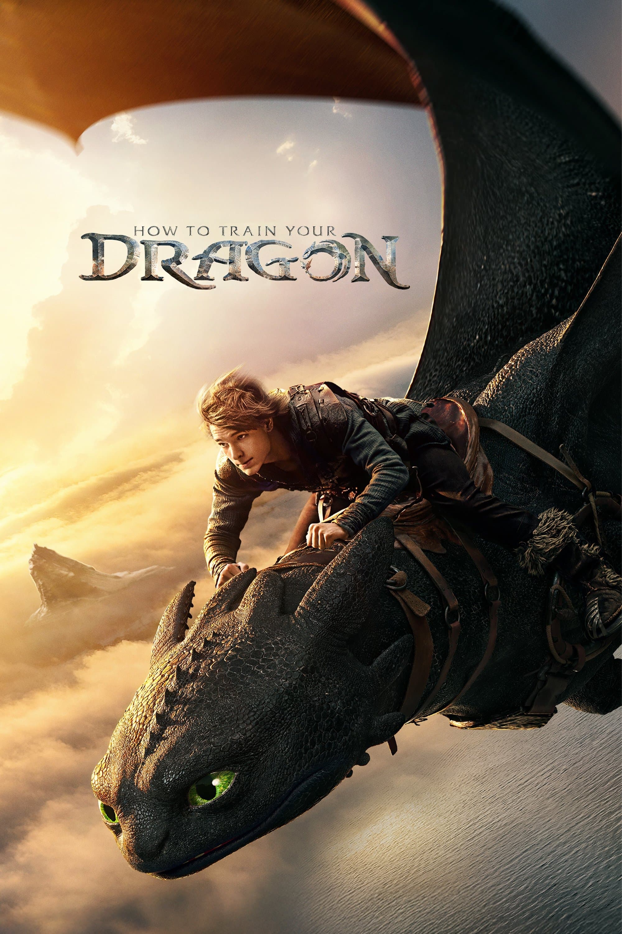 How to Train Your Dragon Poster