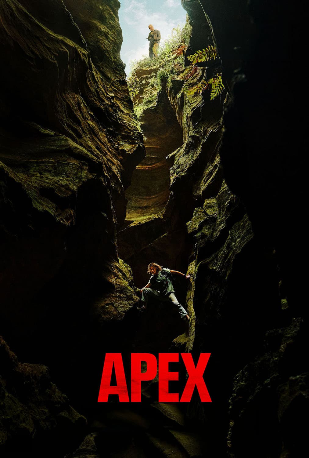 Apex Poster
