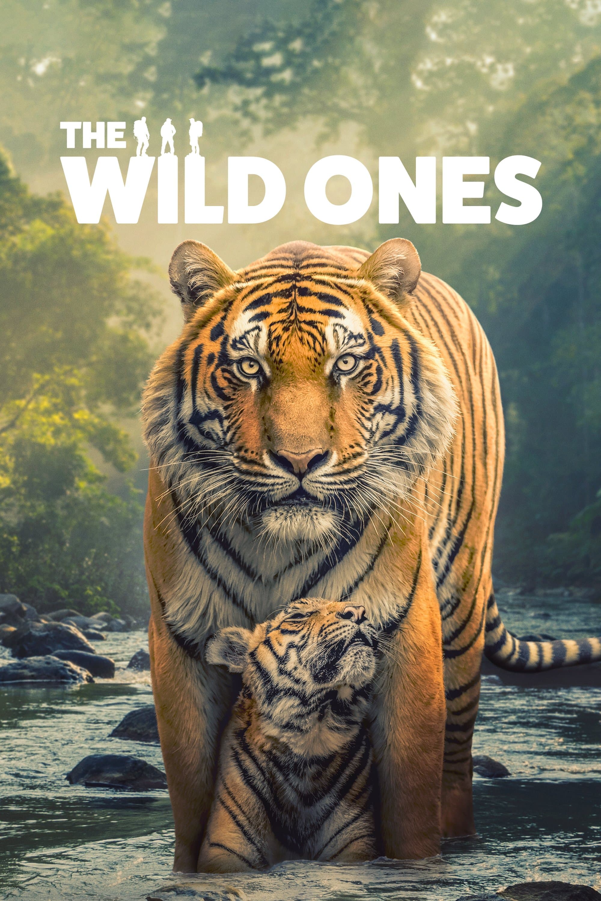undefined Poster