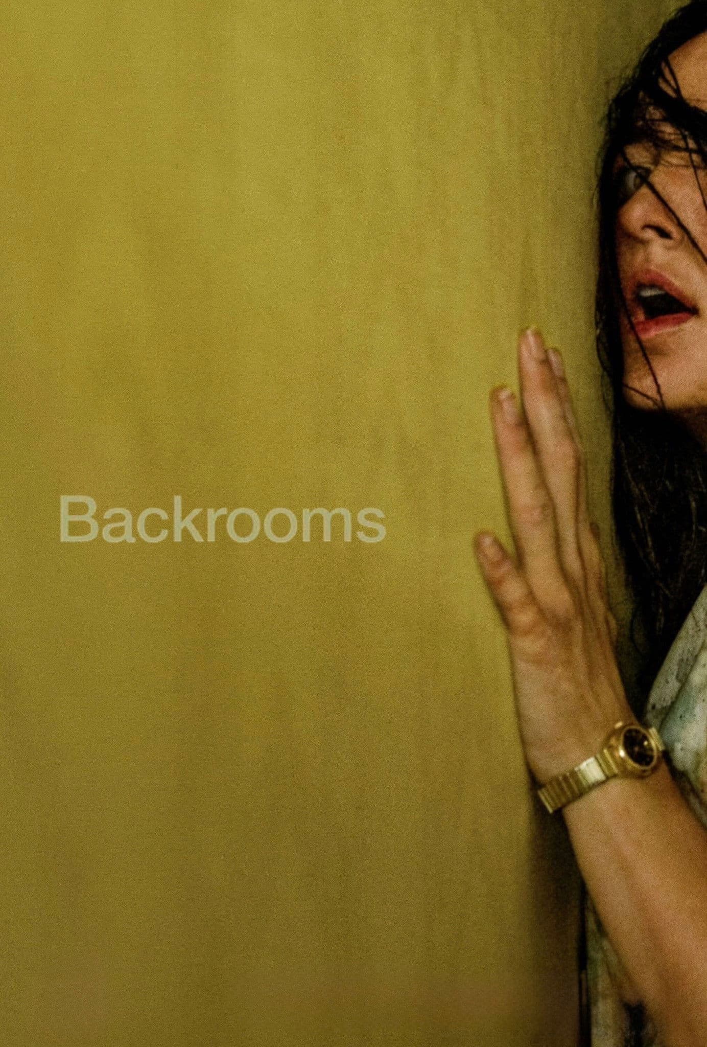 Backrooms Poster