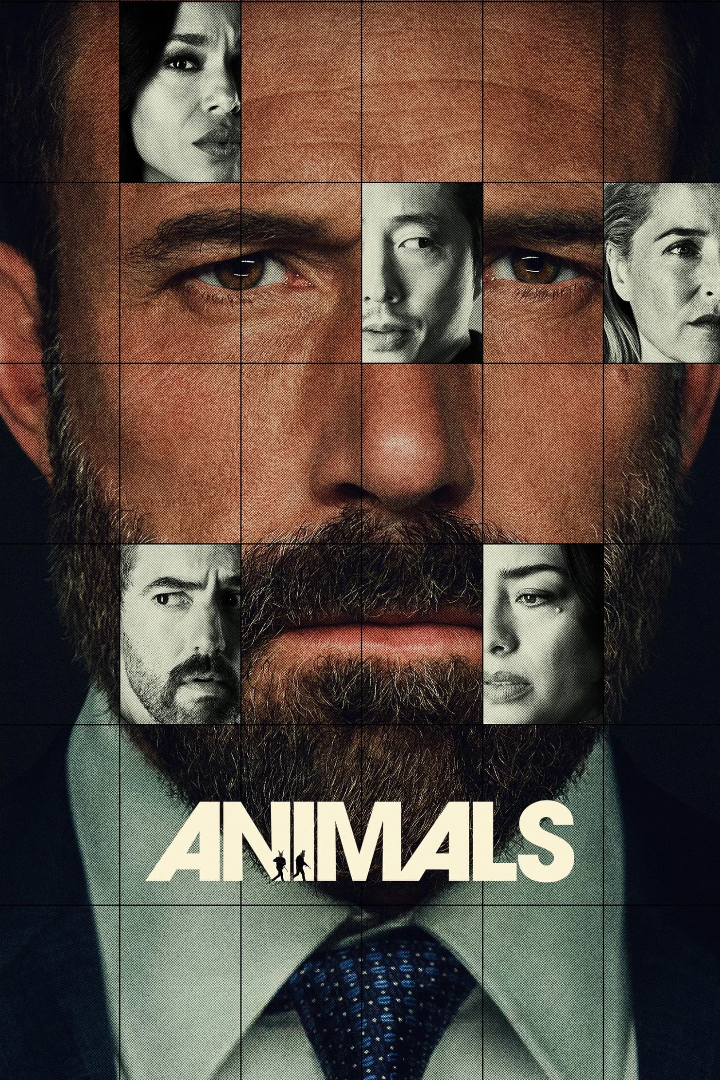 Animals Animals Poster