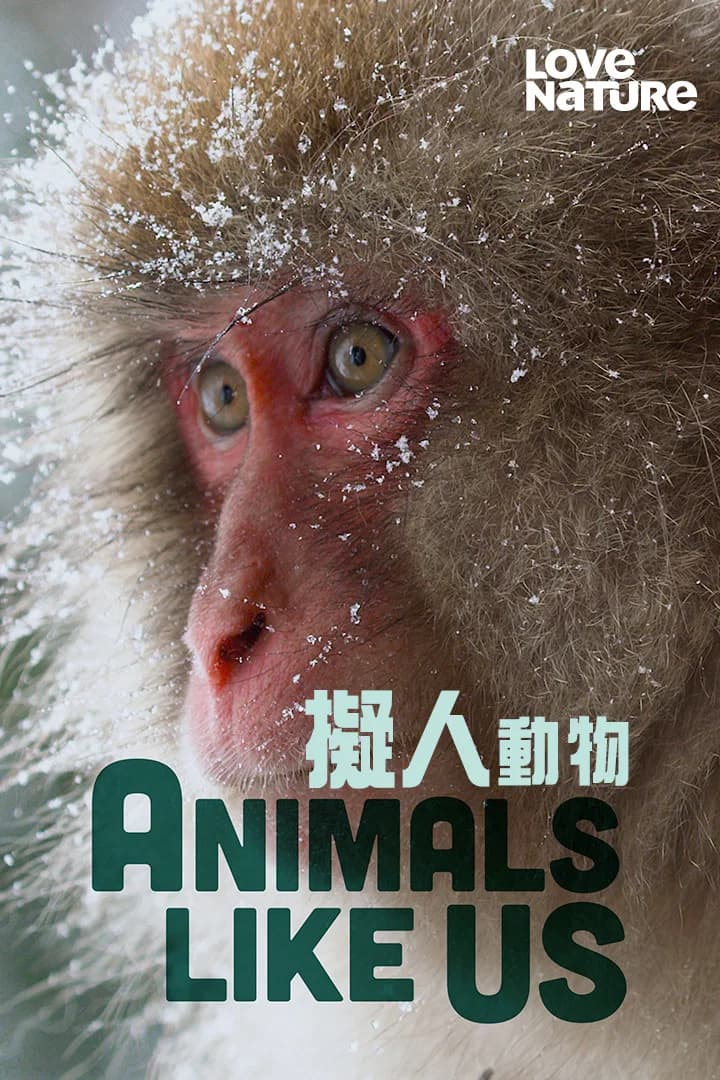 undefined Poster